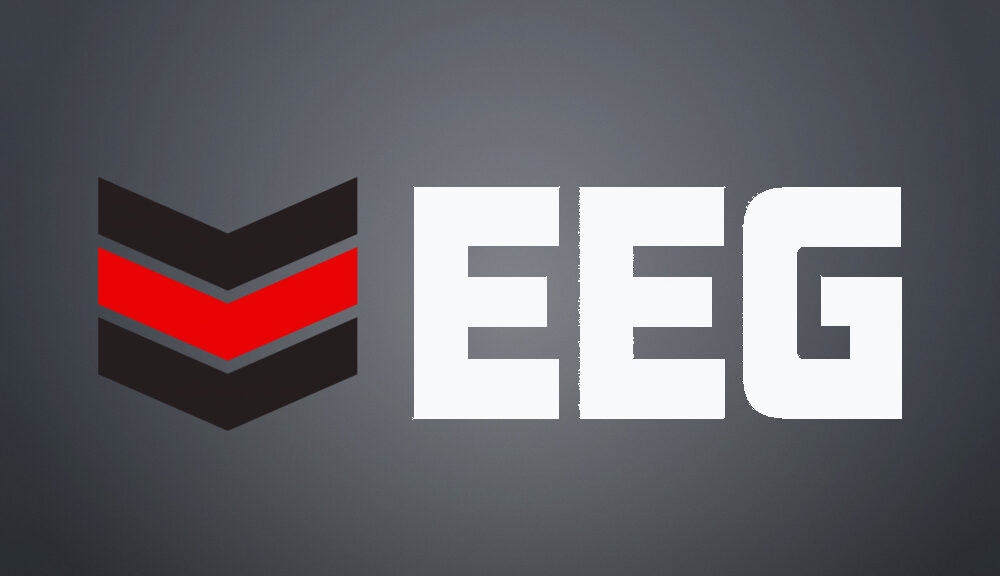 Esports Entertainment Group Shuts Down Vie.gg