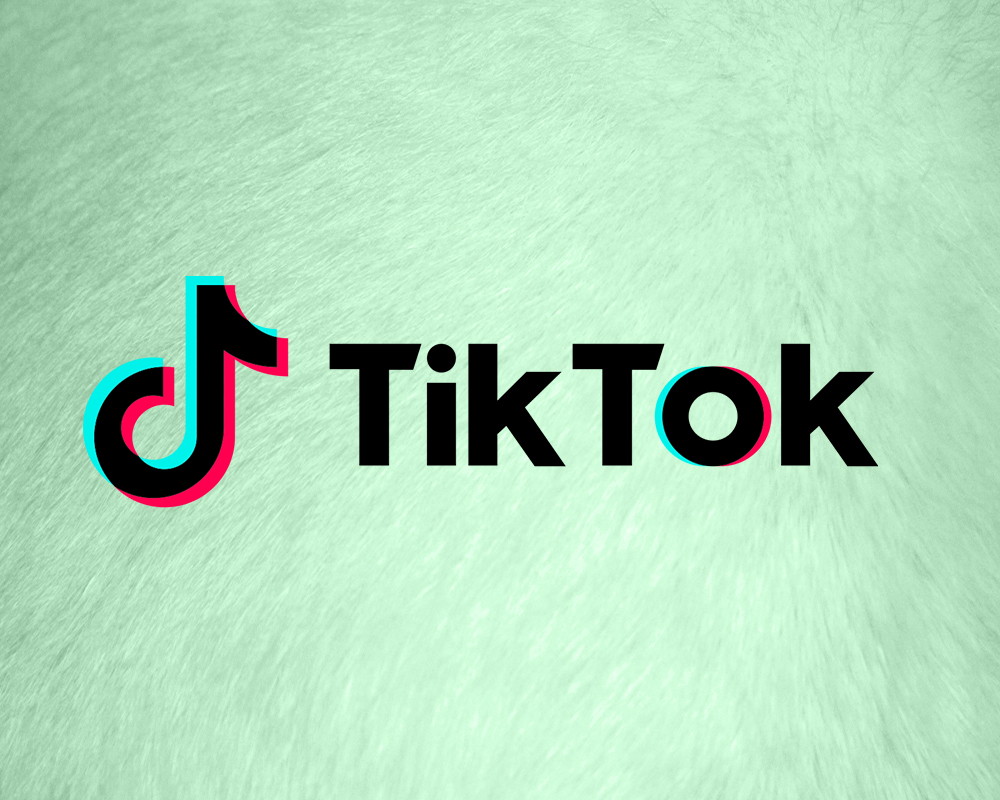 Toy Making Inappropriate Jokes Goes Viral on TikTok